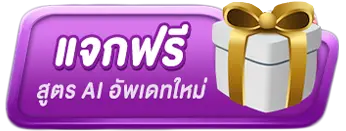 playerplus77